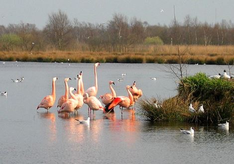 Ontdek de Achterhoek